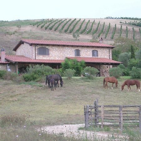 Casale Farnesiana B&B Tarquinia Eksteriør bilde
