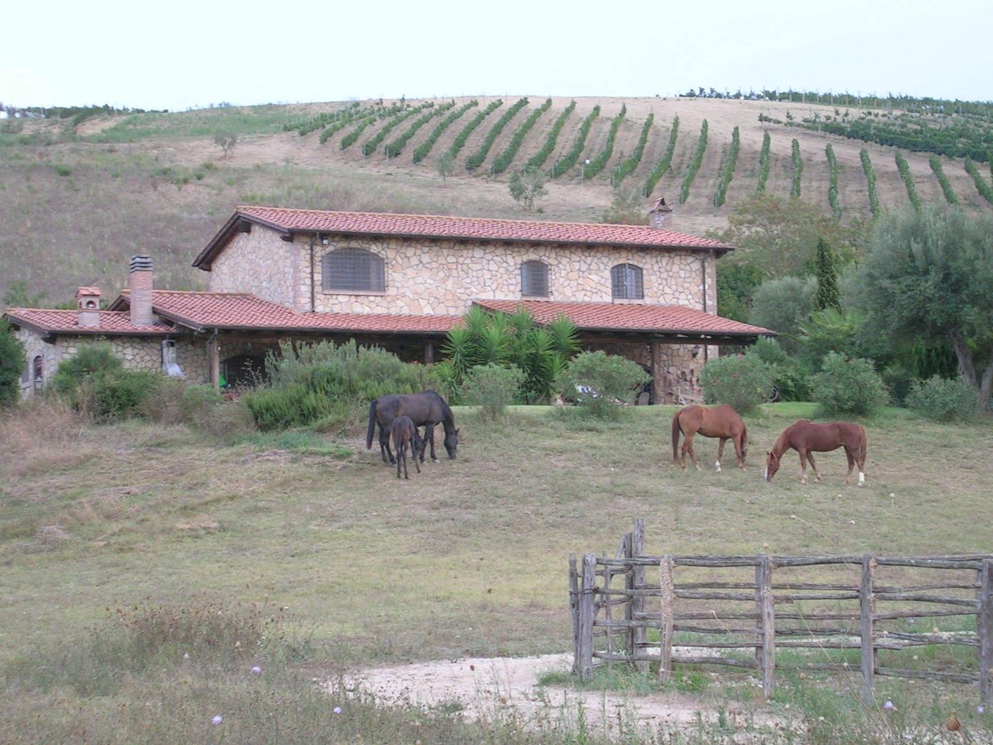 Casale Farnesiana B&B Tarquinia Eksteriør bilde