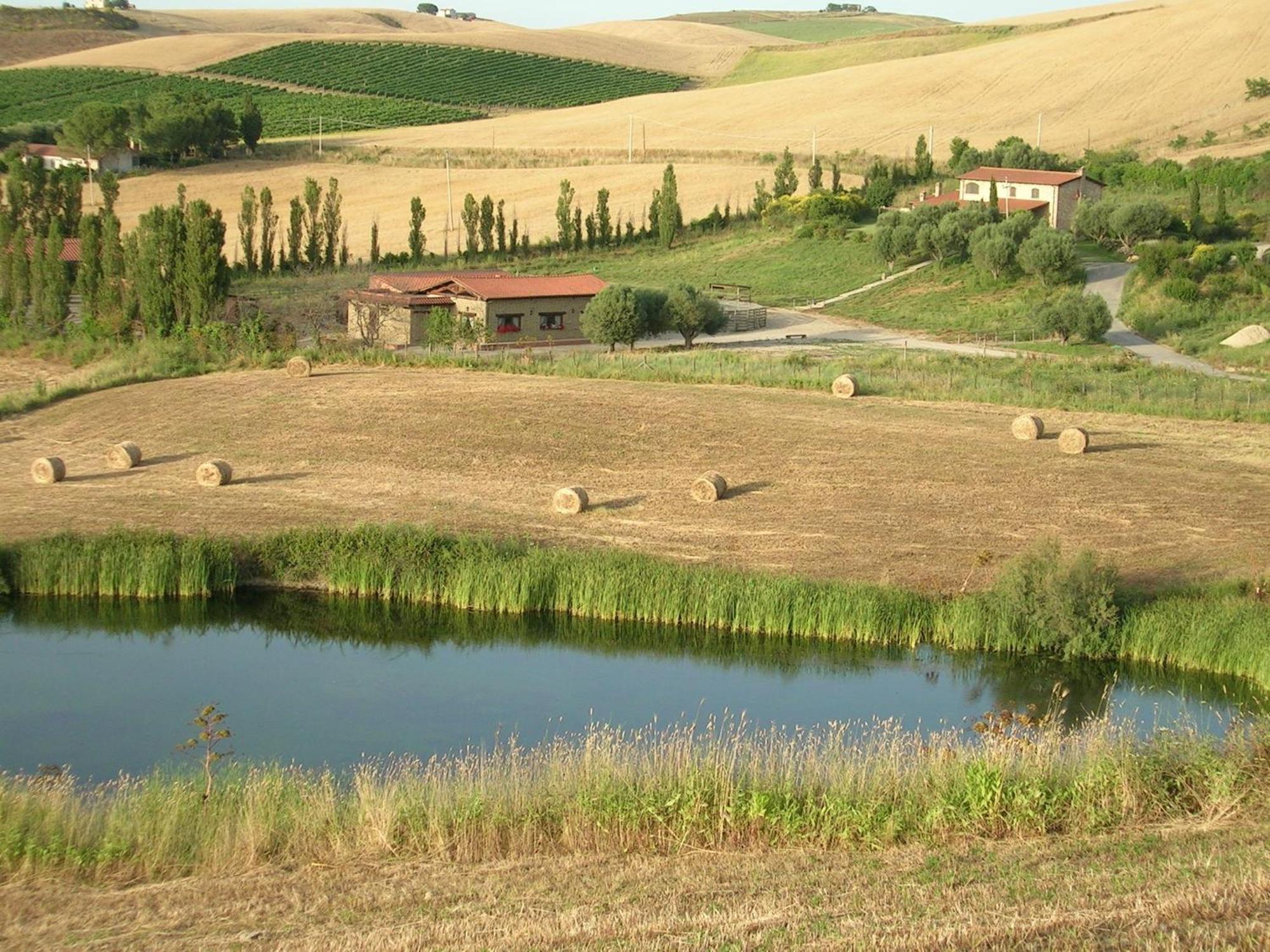 Casale Farnesiana B&B Tarquinia Eksteriør bilde