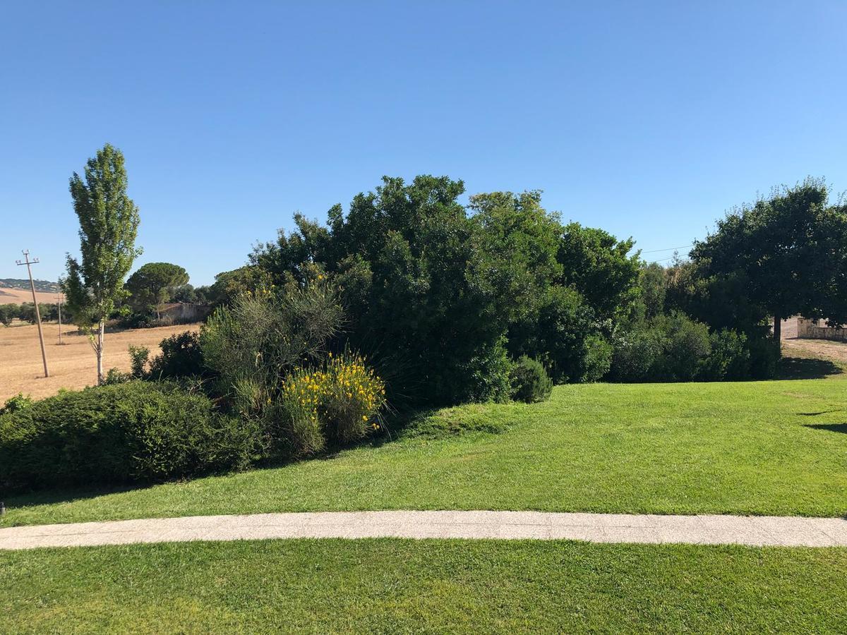 Casale Farnesiana B&B Tarquinia Eksteriør bilde